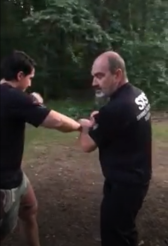 Elbow Punch Defense